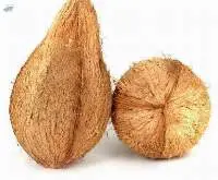 Semi Husk Coconut