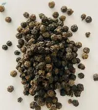 Black Pepper Corn