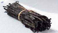 Vanilla Beans