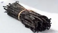 Vanilla Beans