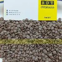 Whole Red Lentil / Masoor / Mosur / Masur Sabut