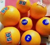 Egyptian Valencia Orange