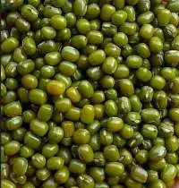 Green Mung