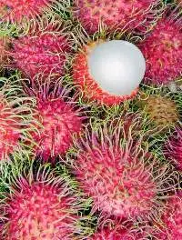 Frozen Rambutan
