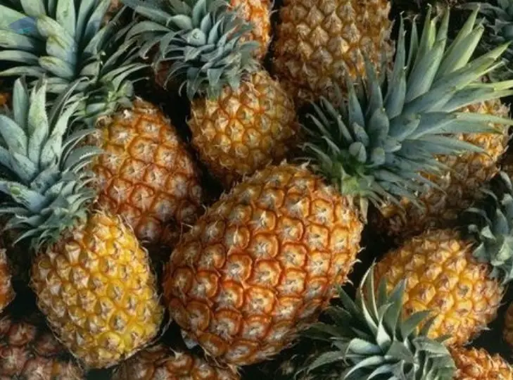 Fresh Pineapple