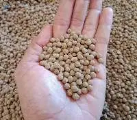 Organic Fertilizer Guano Granule (Phosphorus)