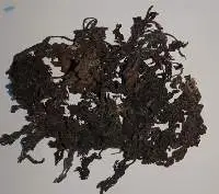 Sargassum Organic Fertilizer