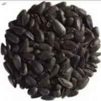 Sunflower Seeds, Ukrainian origin