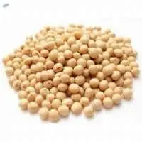 Soybean Seeds, Ukrainian origin
