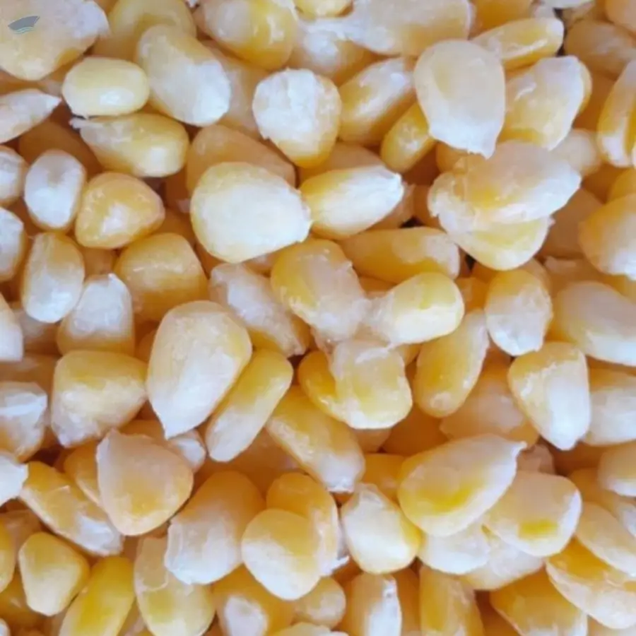 Frozen Sweet Corn