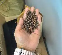 Roasted 70% Arabica 30% Robusto