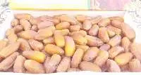 Deglet Nour Tunisia  Branched  Category I Loose