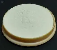 Spray Dried Lemon Powder