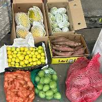 Fresh Vegetables