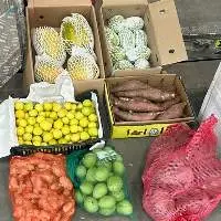 Fresh Vegetables