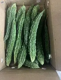 Fresh Vegetables