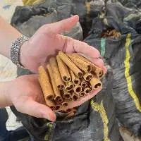 Cigarette Cassia/ Cinnamon