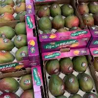 Egyptian Mango