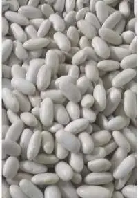 Beans