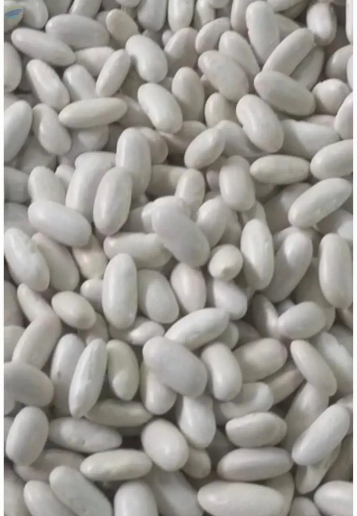 Beans