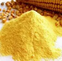 Corn Grits / Polenta