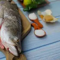 Barramundi