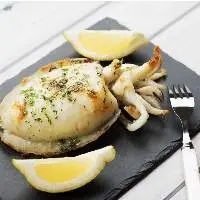 Cuttlefish