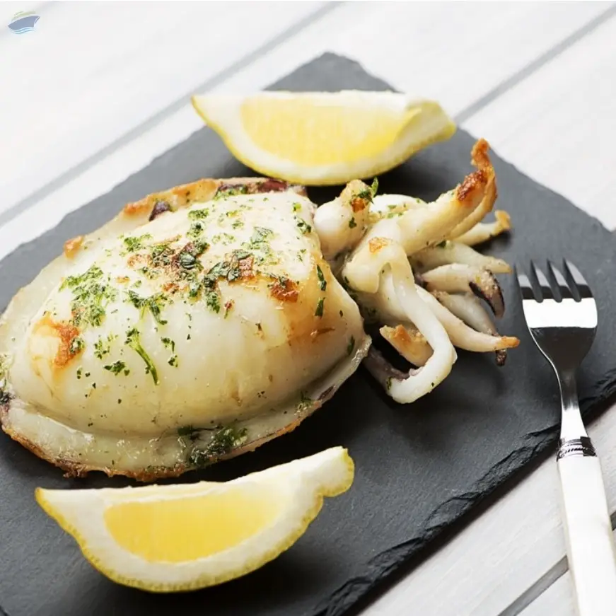 Cuttlefish