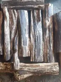 Oud Oil & Sticks