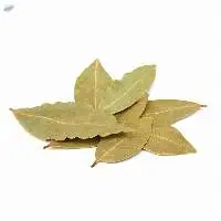 Bay-Leaf