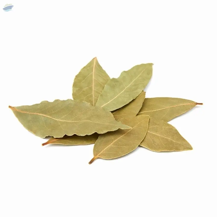 Bay-Leaf