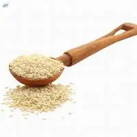 Sesame