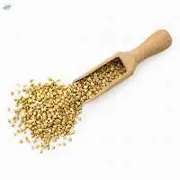 Mustard kuriya
