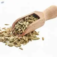 Fennel seeds