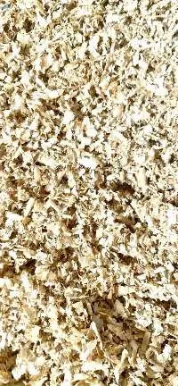 Wood Shaving