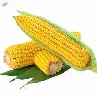Corn