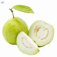Guava
