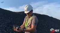 Coal