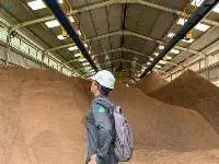 Palm Kernel Expeller (PKE)