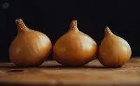 Onion
