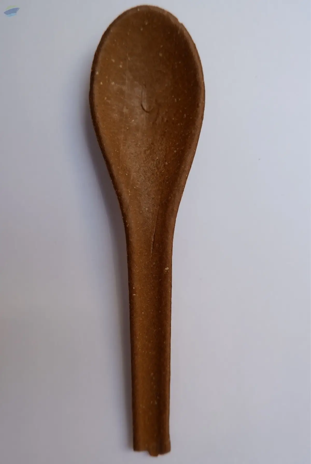 Edible Spoon