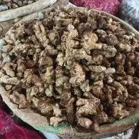 Fresh Ginger under 100-130 up