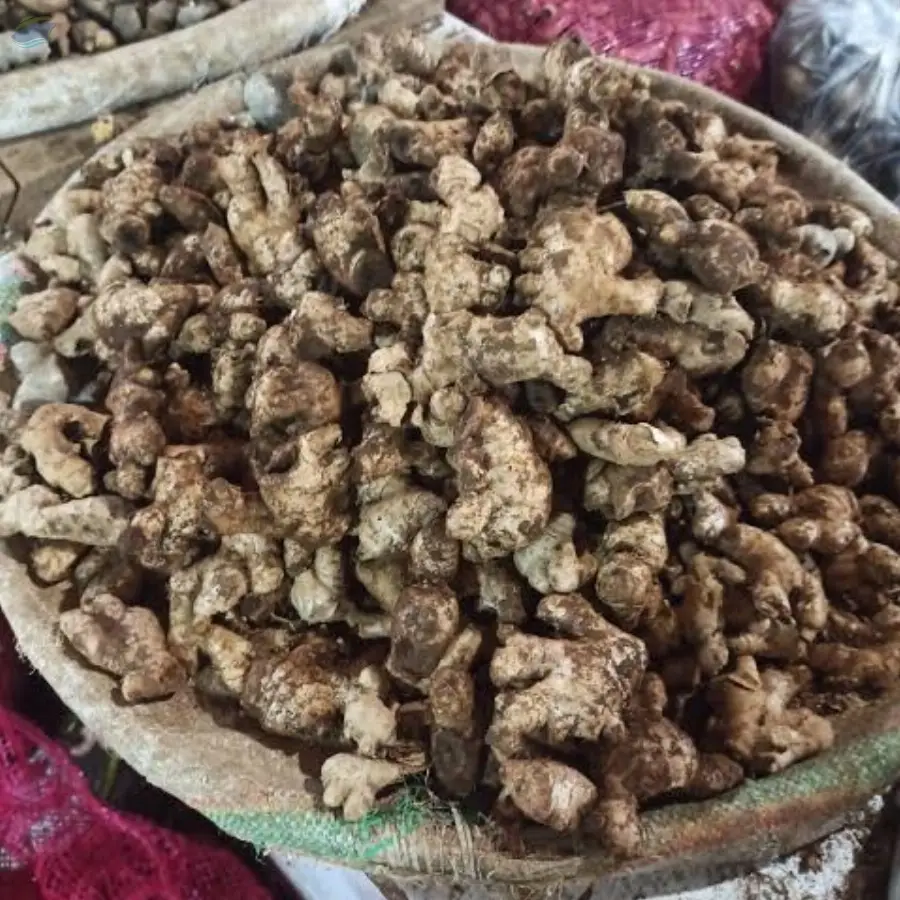 Fresh Ginger under 100-130 up