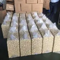 High Quality Cashew Kernel 2026 Product