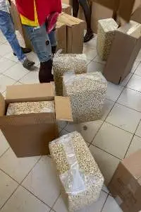 W18 - W500 Sizes Available Premium Cashews