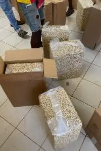 Origin Cashew Kernels 2026 Harvest