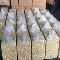 Premium Tanzanian Cashews