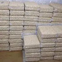 Premium Cashew Kernels