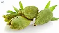 High-quality cardamom