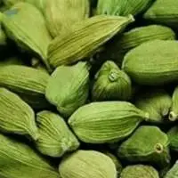 Cardamom Fresh Green